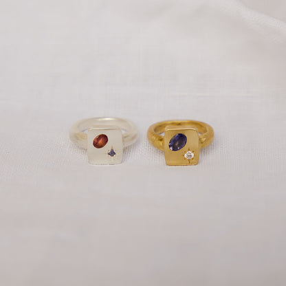 Orbital Ring