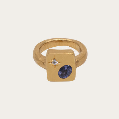 Orbital Ring