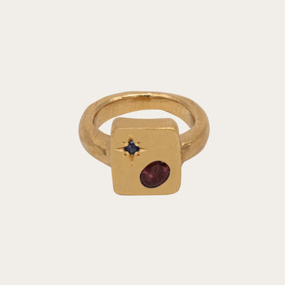 Orbital Ring